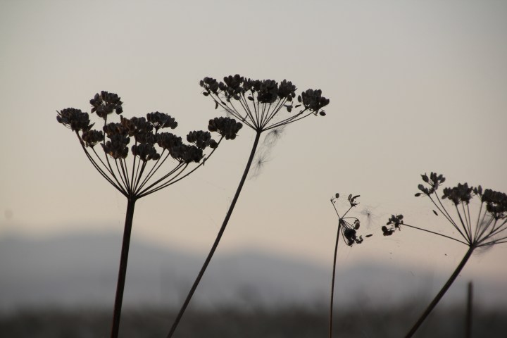 Allez, on relance le site !